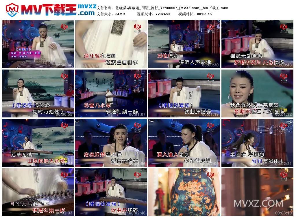 张晓棠-苏幕遮_国语_流行_YE100557